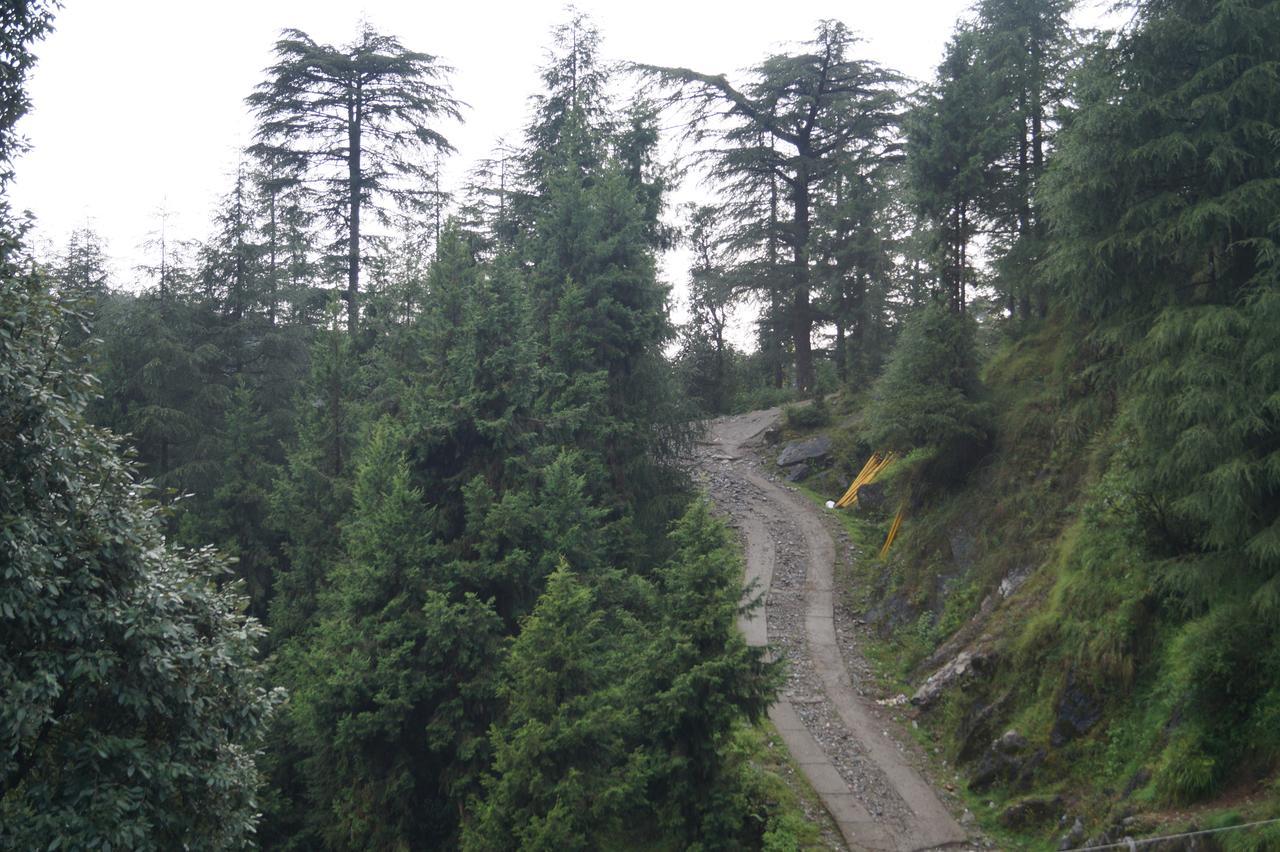 Hotel Shivalay Dharamshala Exterior photo